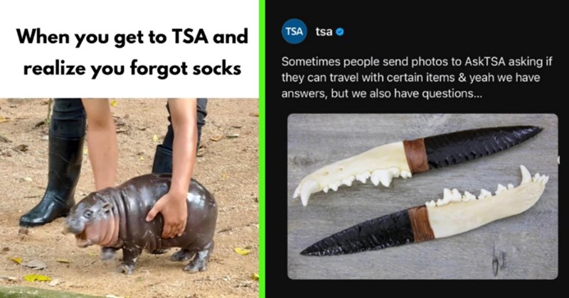 26 TSA Memes to Help You Forget You’re About to Miss Your Flight