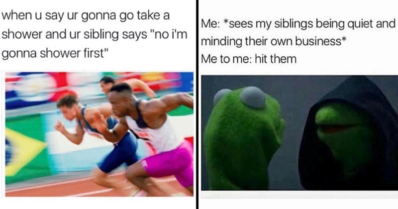 28 Memes That Sum Up the Struggle of Growing Up with Siblings