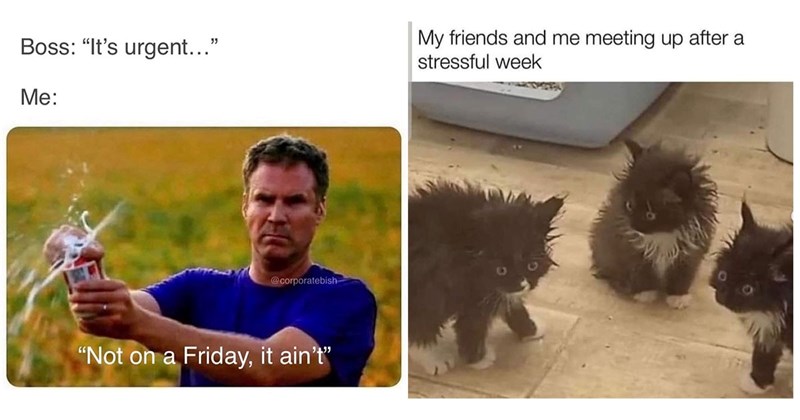 25+ Friday Memes for Quittin’ Time