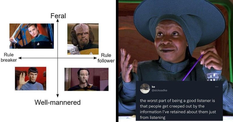 The Best Star Trek Memes of the Week (October 29, 2024)