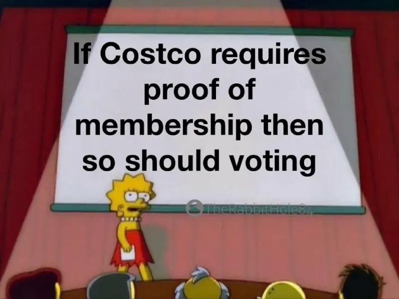 voting – meme