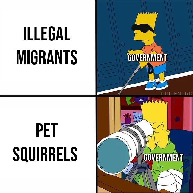 Government – meme