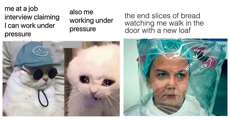 37 Memes to Lighten the Mood