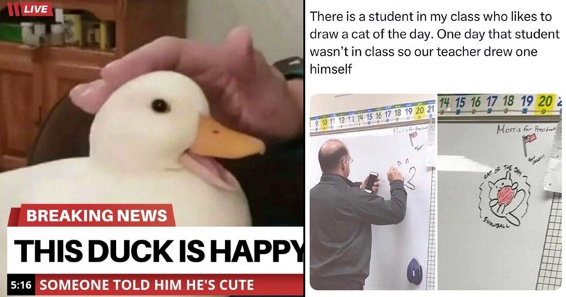 The Best Heartwarmingly Wholesome Memes and Posts of the Week (October 31, 2024)