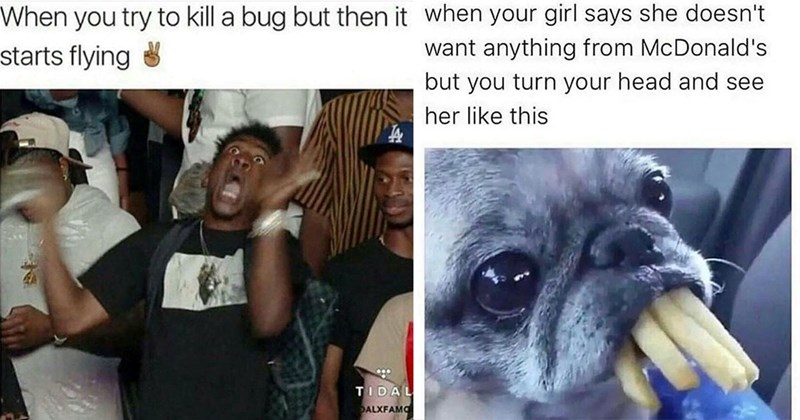 28 Memes to Scoop up With a Spoon