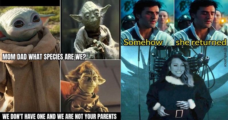 25+ Star Wars Memes for Aficionados of the Force (November 6, 2024)