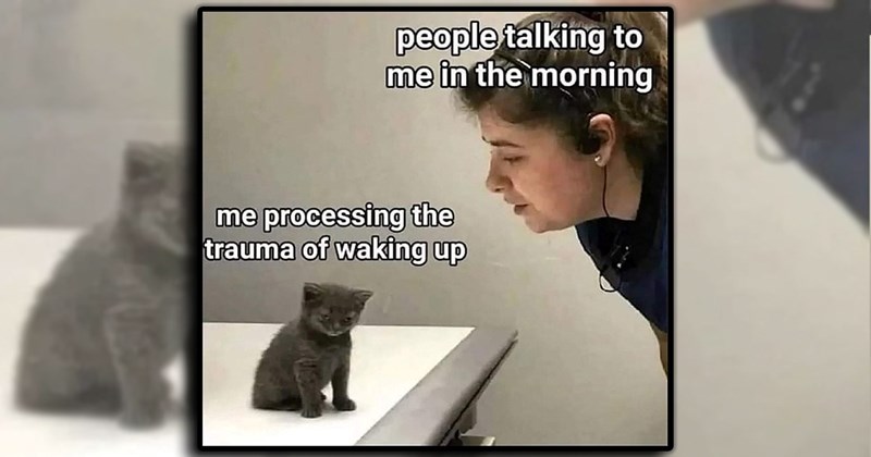 21 Early Morning Memes to Scroll Through When You Can’t Fall Back Asleep at 5AM