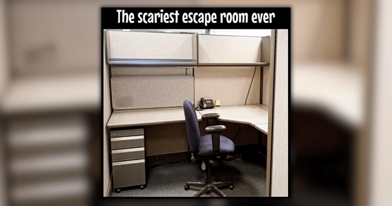 21 Witty Work Memes for Employees Cubicle Rotting Until Summertime