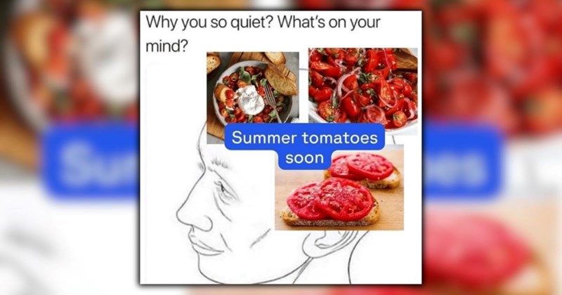 22 Extra Ripe Memes for Tasteful Tomato Enjoyers