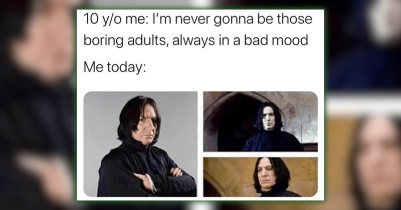 22 Memes for Cranky Folks Embracing Their Inner Grump on National Curmudgeons Day