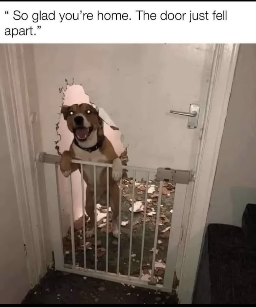 The Best Marvel Memes of the Week (January 10, 2025)
