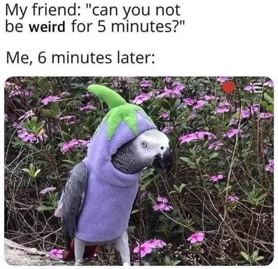 Awwwk – meme