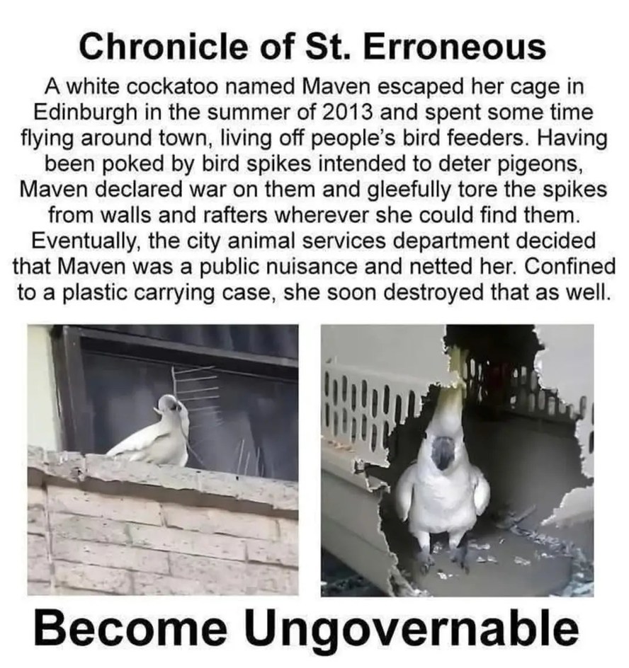 Ungovernable – meme