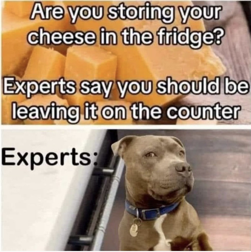 Cheese is best – meme