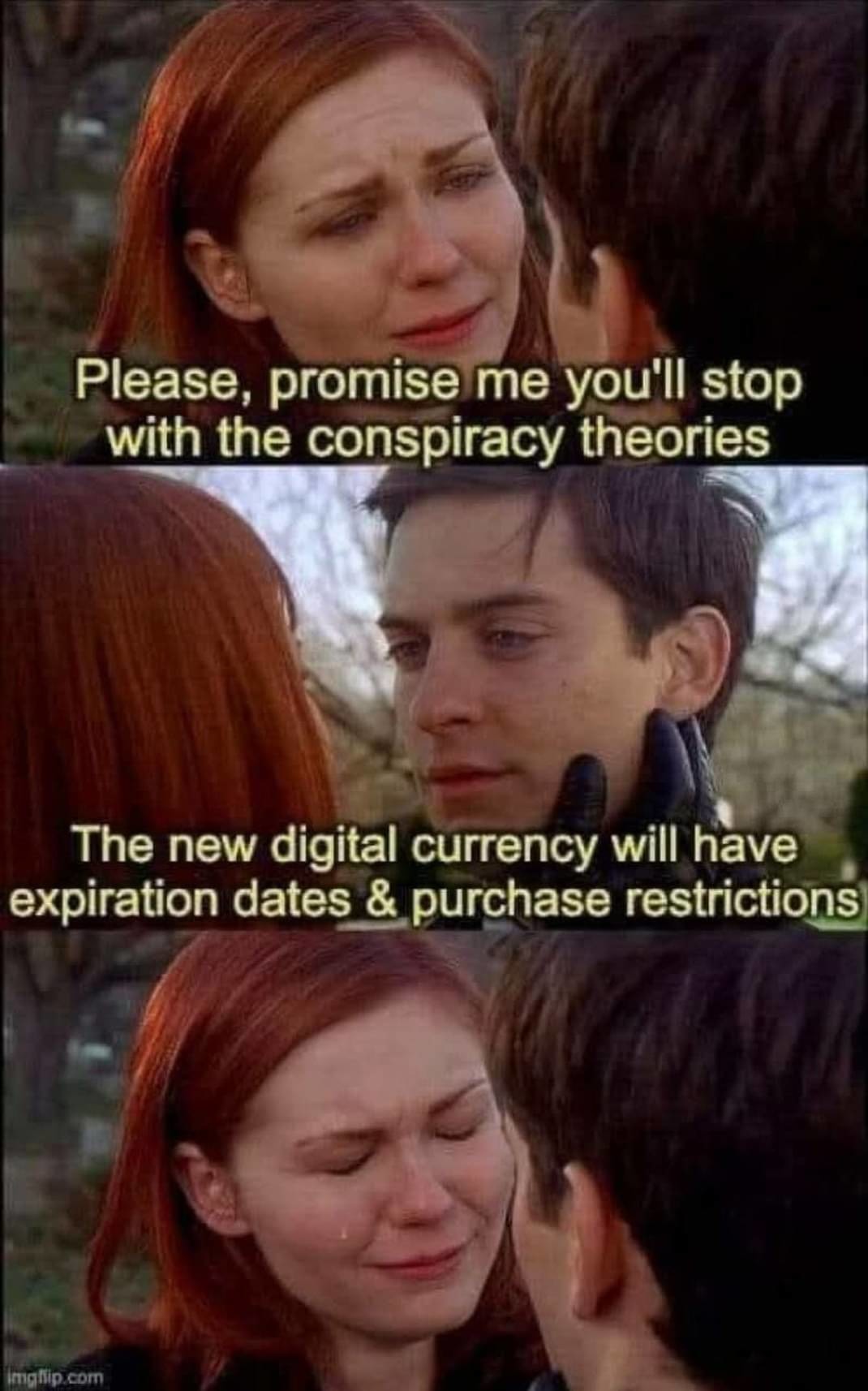 Oppose digital FIAT – meme