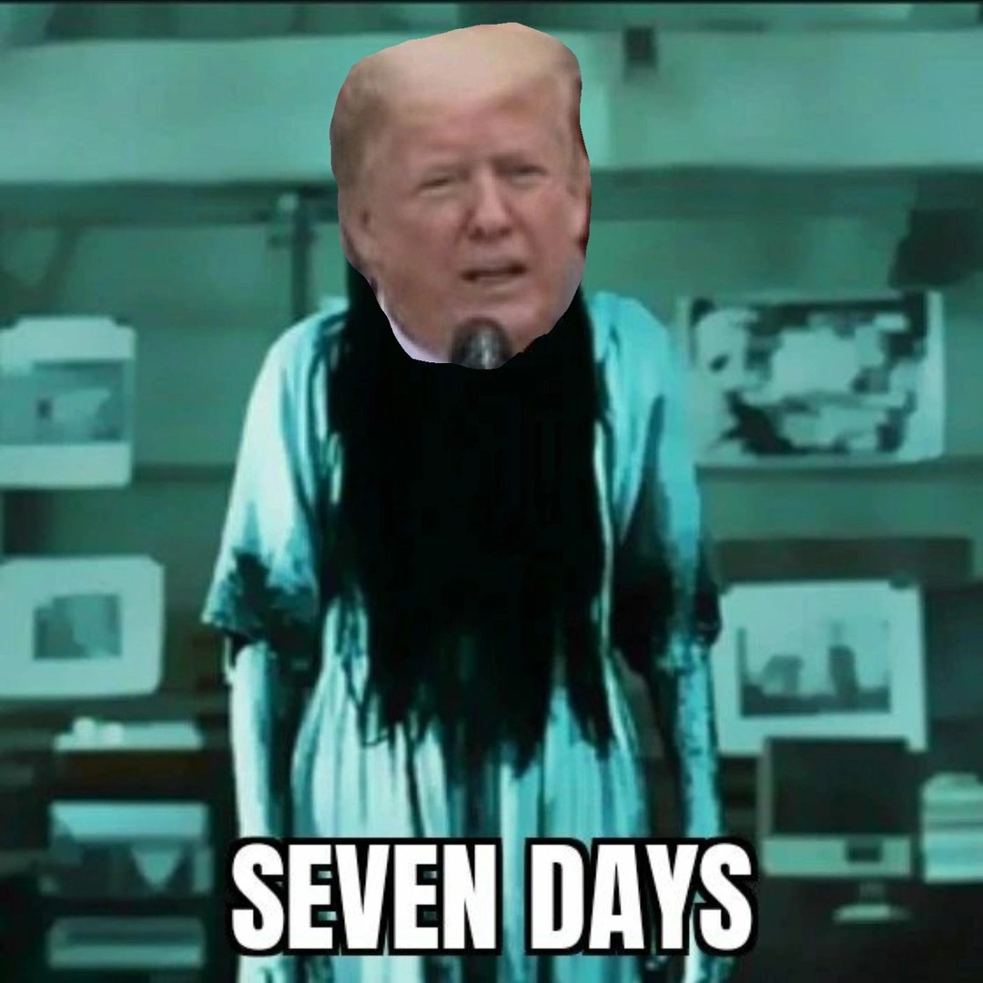 SEVEN DAYS – meme