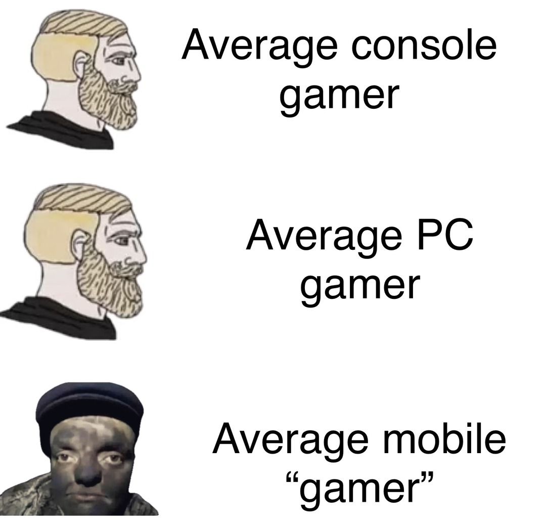 PC MASTER RACE BITCHES – meme