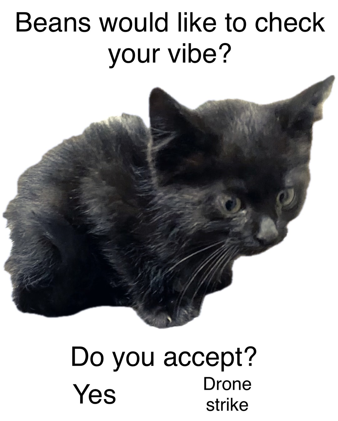 I’ll vibe with you beans – meme