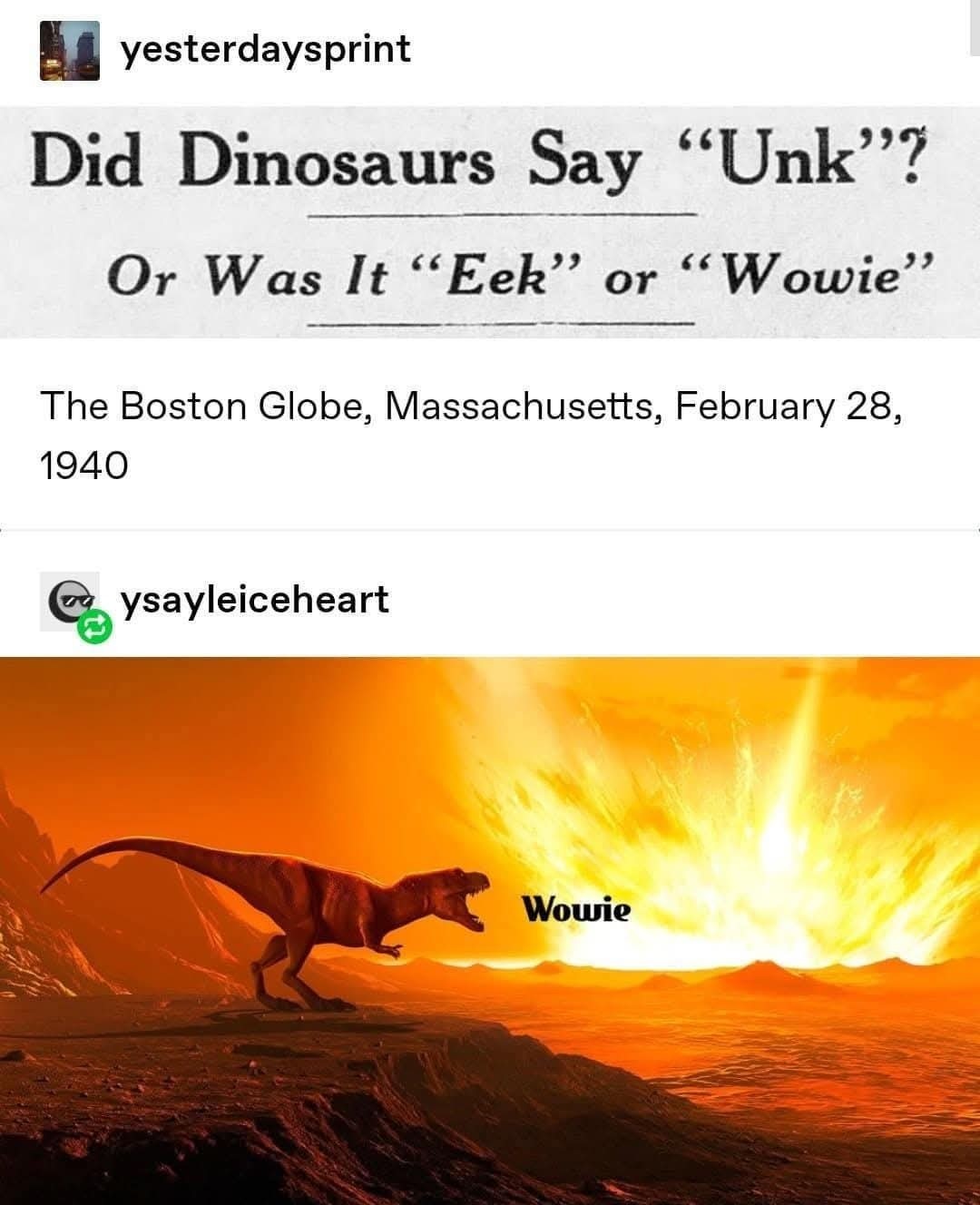 Makes you wonder – meme