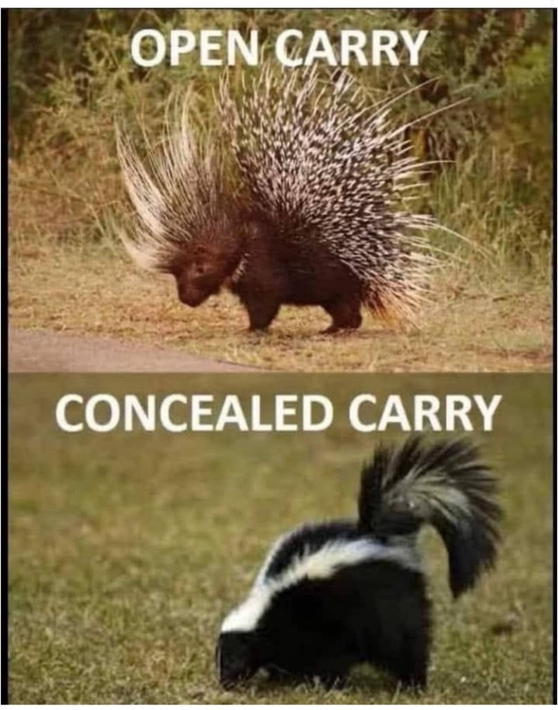 Both – meme