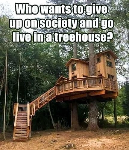 That’s nice Freedom – meme