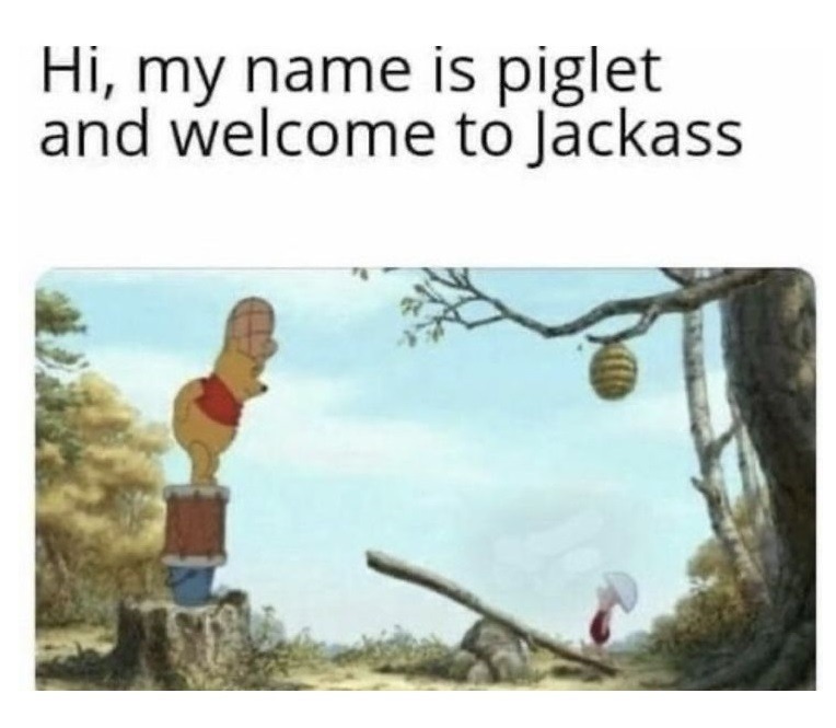 Welcome to jackass – meme