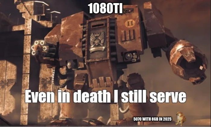 40 Memes Foraged From the Wilds of the Internet