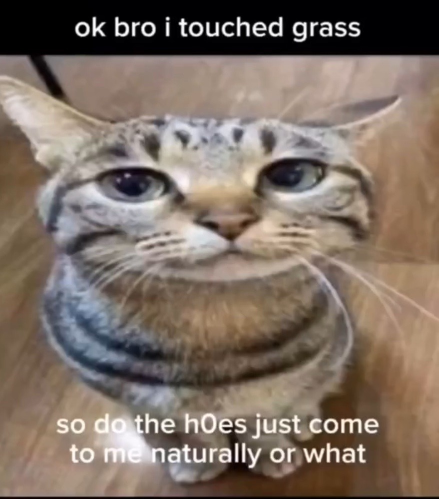 what’s step 2 – meme