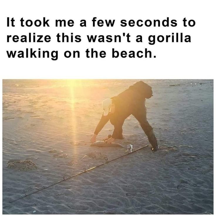 No Gorilla – meme