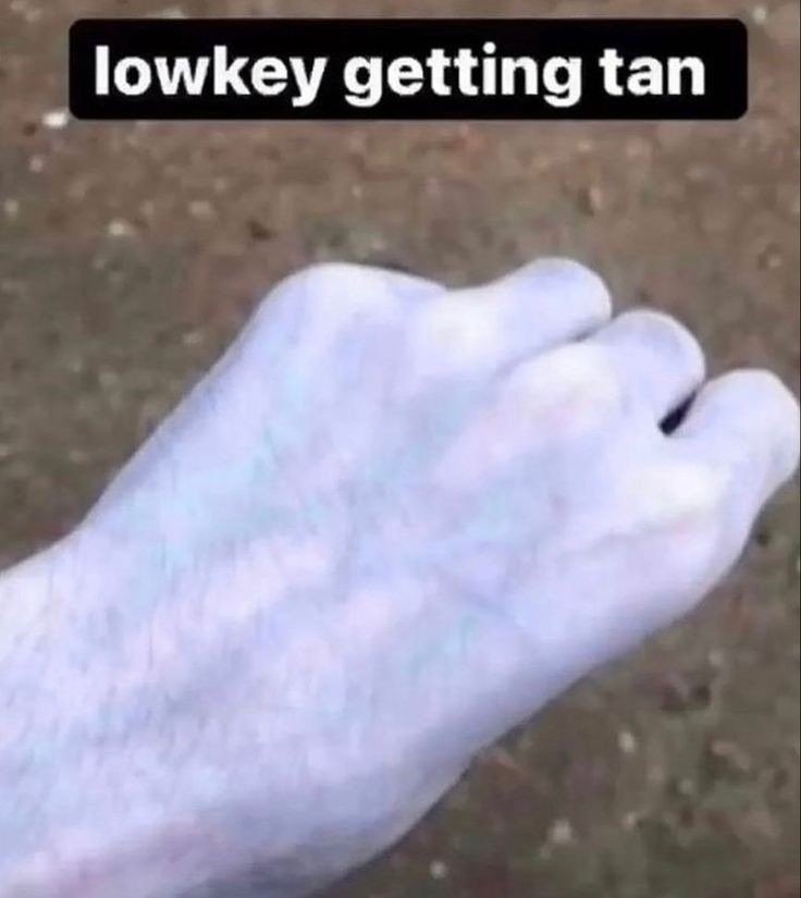 °-° – meme