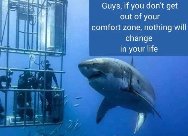 Self-help Shark Thursday – meme