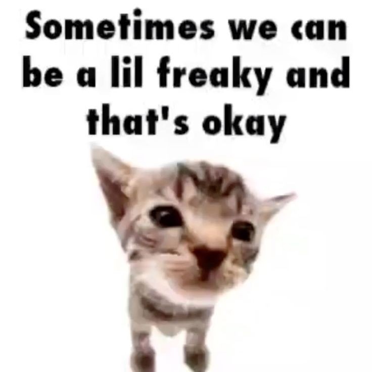 <3 – meme