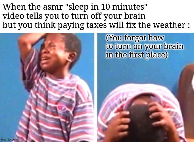 Trust me bro, infinite taxes can fix the weather – meme