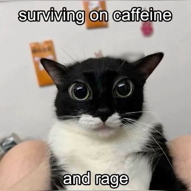 Just downvote it or whatever idc – meme