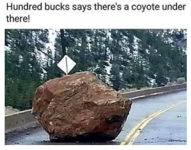 Goodbye Coyote – meme