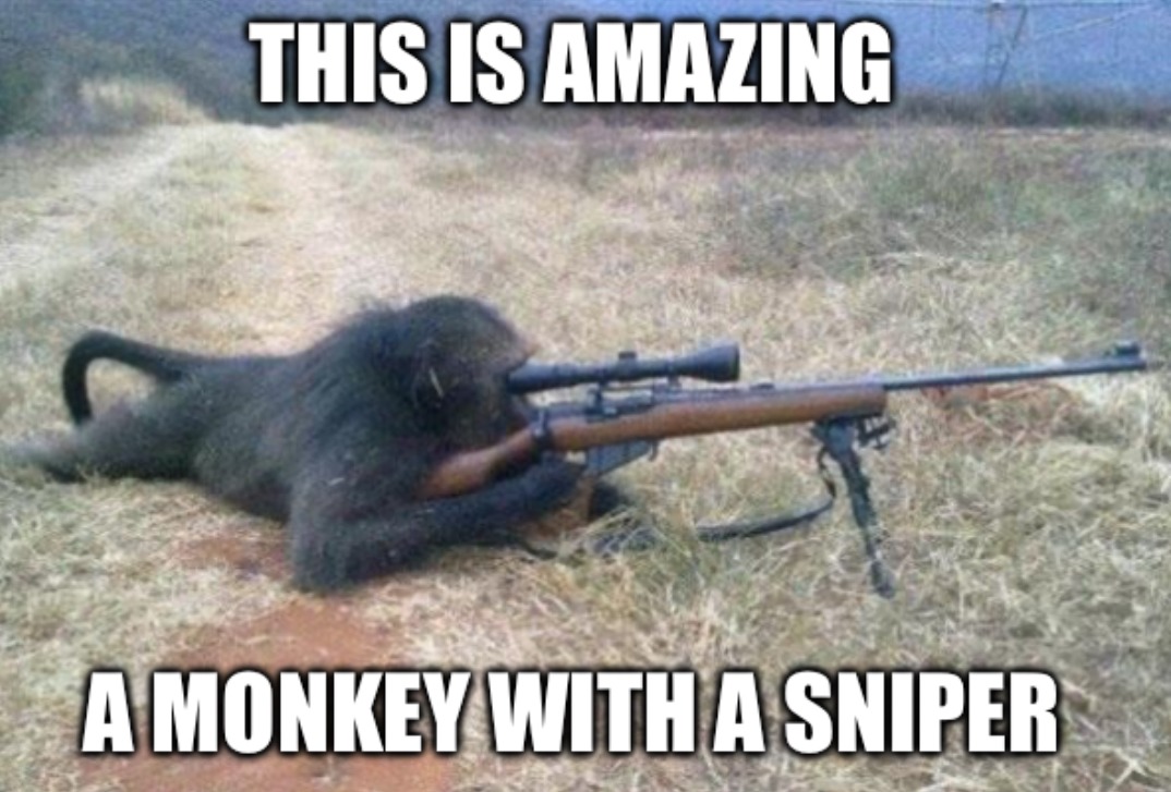 This is just amazing – meme