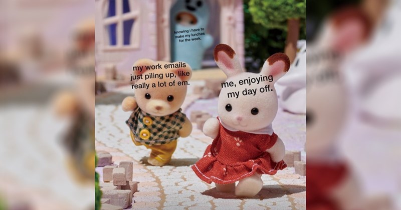 25 Sylvanian Family Memes for Calico Critter Collectors