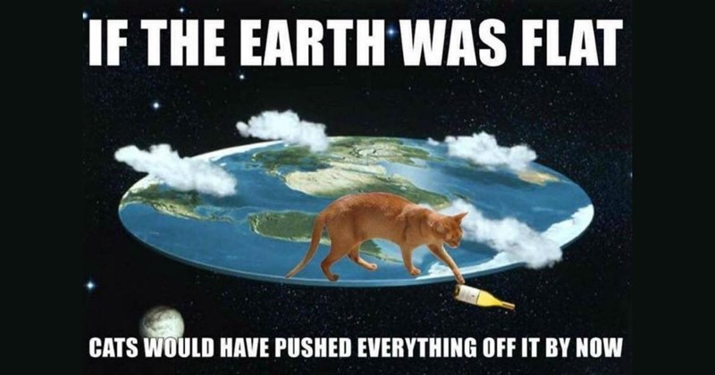 Funniest Cat Memes for Feline Fanatics (January 8, 2025)
