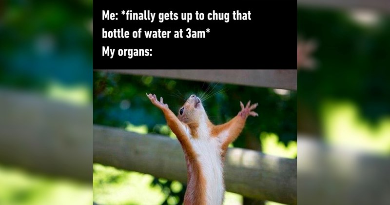 25+ Hydration Memes for Remembering to Drink Water