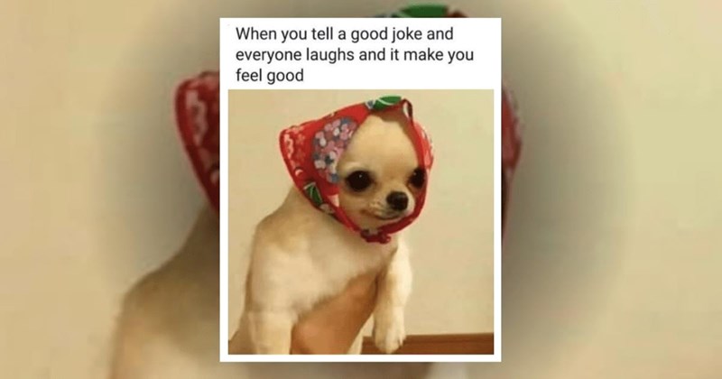 23 Happy Little Memes That Highlight the Best Parts of Being Human