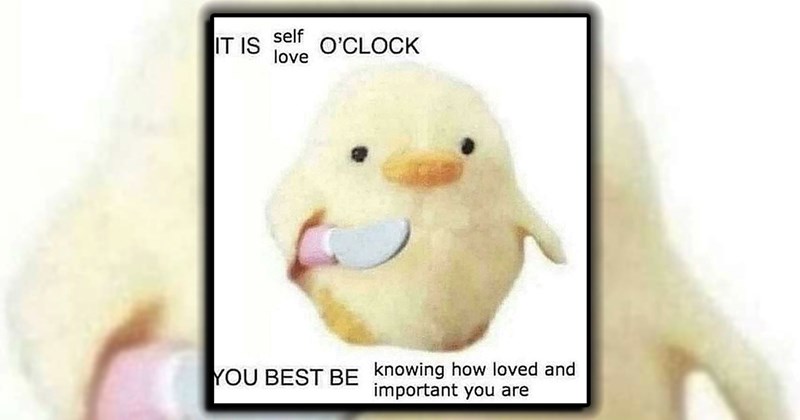 20+ Uplifting Memes to Make Sure You’re Being Nice to Yourself
