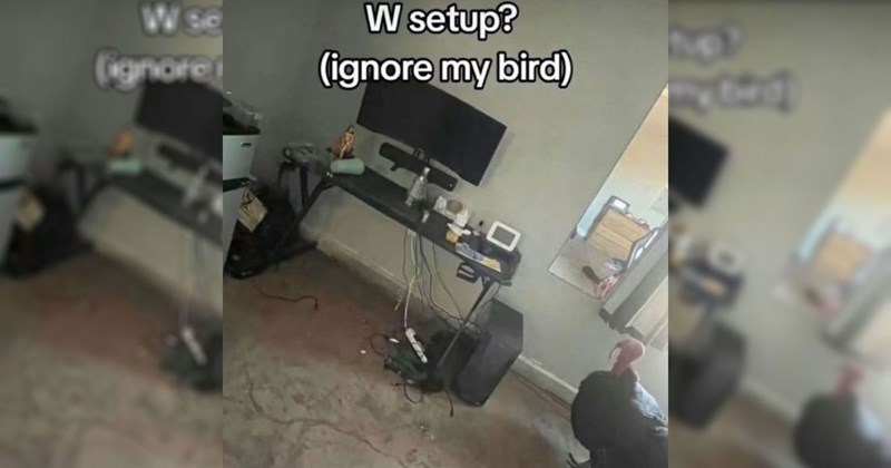30 Memes That Are a Major W