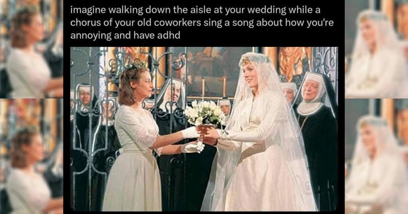 Memes That Don’t Disappoint