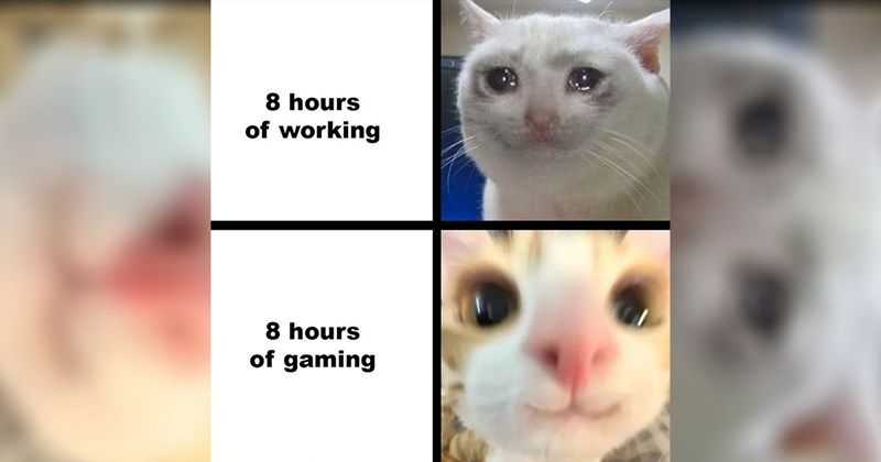 30 of the Best Gaming Memes of the Week (January 29, 2025)