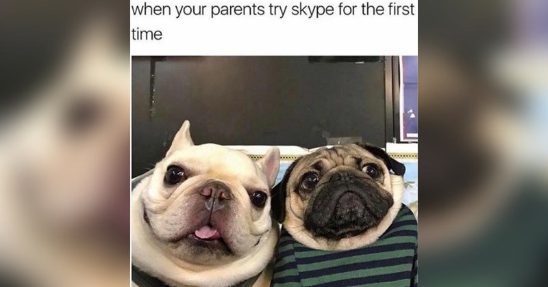 The Best Heartwarmingly Wholesome Memes and Posts of the Week (January 9, 2025)
