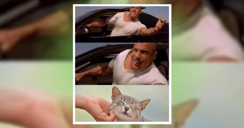 22 Happy Little Memes That Highlight the Best Parts of Being Human (January 23, 2025)
