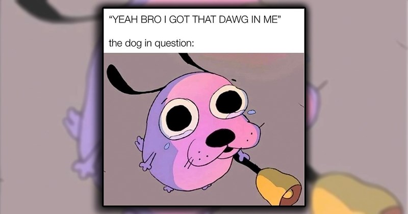 25 Funniest Memes to Send to Your Therapist That Will Have Them Laughing At Your Dark Sense of Humor at This Week’s Sessions