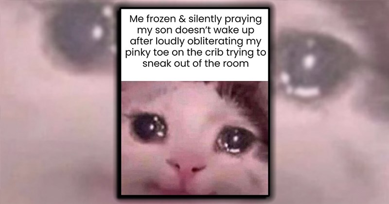 23 Best Parenting Memes of the Week for Witty Moms and Dads Parenting The Best They Can Parent All the Time (January 18, 2025)