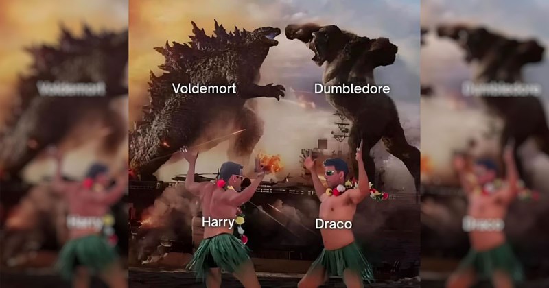The Funniest Harry Potter Memes of the Week (January 22, 2025)