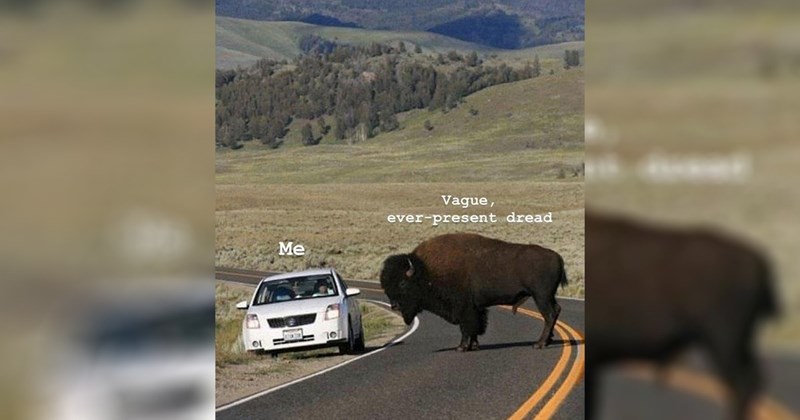 33 Memes Having a Grand Ole Time